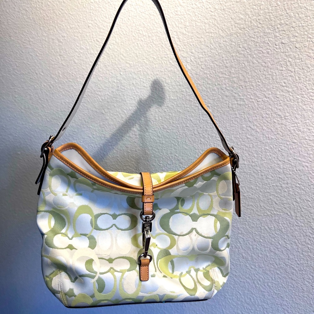 Coach boho bag